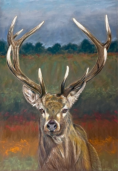 ‘Stag’ pastel drawing by Julie Waldron