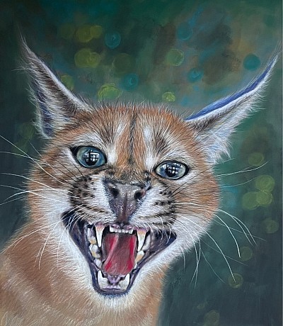 ‘Bobcat’ original pastel drawing by Julie Waldron