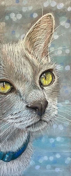‘Siamese’ original pastel drawing by JUlie Waldron